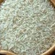 Рис сырец, Украина.