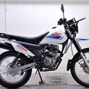 Мотоциклы SHINERAY, XY200GY-10