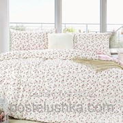 Комплект постельного белья трикотаж джерси La scala JR-22 Двуспальный Евро фотография