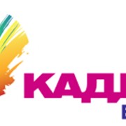 Развитие и обучение персонала фото