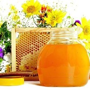 Мёд разнотравье луговое. Бесплатная доставка по Харькову +100 г другого сорта