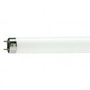 Лампа люминесцентная Philips TL-D 18W/33-640 фотография