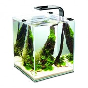 10 BLACK SHRIMP SET SMART AquaEl аквариум настольный, 10 литров, Розничная, Прозрачный с чёрной кайм фото