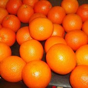 Апельсины в Харькове