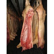 Свинина охлажденная в полутушах 1-й категории, РФ фото