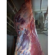 Мясо говяжье корова полутуши охлажденные ГОСТ 1 категории