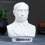 Бюст Путин средний белый 16см фотография
