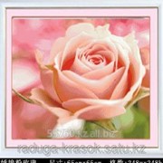 Картина-мозаика стразами - Розовая роза 65х65 см фотография
