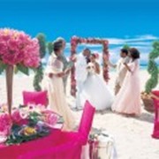 Медовый месяц на Мальдивах фотография