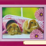 Наборы для вышивания крестиком Кролики фото