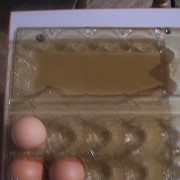 Пластиковая упаковка под куриное яйцо на 10 гнезд.