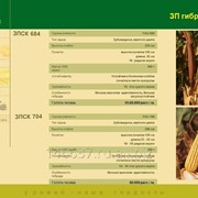 Семена кукурузы сербской селекции ЗПСК 684
