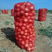 Овощная сетка картофельная 50*80 см (35гр) фотография