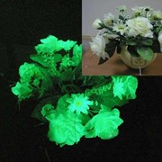 Светящийся биогель для живых цветов. фото