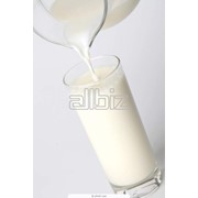 Технические условия молоко кобылье сырое ТУ 9859-342-37676459-2015 фото