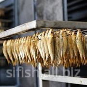 Рыба; скумбрия, хек, салака 15+ фото