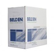 Кабель Belden Cat5e Cable UTP 4 pairs Solid Pure Copper 24AWG - Fluke test passed - RoHS Jacket фото