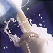 Молоко питьевое цельное фотография