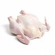 Мясо цыплят-бройлеров 1,1 - 1,3 кг фото