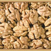 Грецкие орехи очищенные фото