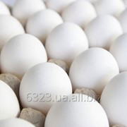 Яйцо С2 фото