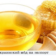Экспорт украинского мёда в страны СНГ | Export honey, bee products фотография