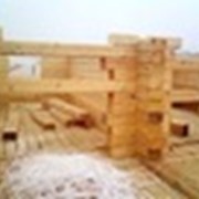 Брусья настенные фото