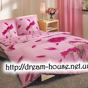 Постельное белье TAC Серия Ranforce Flori розовый фото
