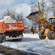 Вывоз снега в Перми