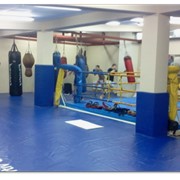 Ринг для бокса, покрытие для ринга фото