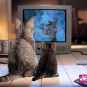 Размещение рекламной продукции на радио и ТВ, медиапланирование фото