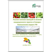 Исследование рынка промышленных овощных теплиц на Северном Кавказе РФ