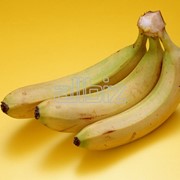 Бананы фото
