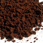 Индонезия Колосси фото