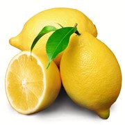 Свежие фрукты Лимон фото