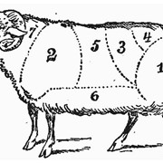 Бедро баранье. Баранина. Мясо баранина.
