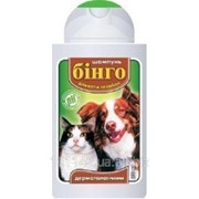 Шампунь для кошек и собак дерматологический 200 мл Бинго фото