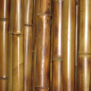 Бамбуковый ствол