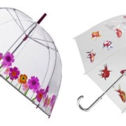 Зонты прозрачные в ассортименте фотография