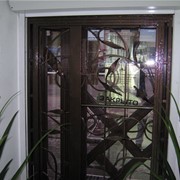 Двери, ограды кованые, ограждения с элементами ковки от производителя в Запорожье