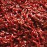 Мотыль средний чистый фото