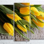 Модульна картина на полотні Жовті тюльпани код КМ100200(176)-137 фото