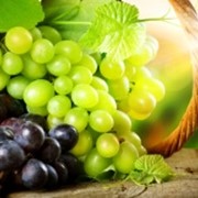 Виноград, виноград зелёный, виноград киш-миш, виноград чёрный, виноград без косточек, виноград купить, купить виноград, виноград купить Украина