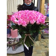 Розовые розы 51 шт 60 см фото