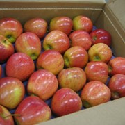 Яюлоки фото