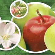 Удобрение для яблони Нутри-Файт РК фотография