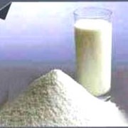 Сухое Цельное Молоко (от Заводов РБ и РФ)