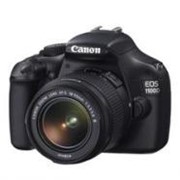 Цифровая фотокамера Canon EOS 1100D Kit фото