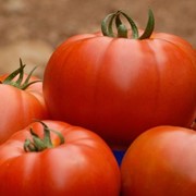 Семена томатов Белле F1 | Belle фотография