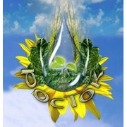 Мікродобриво для позакореневого підживлення - РОСТОК Бобові фото